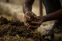 Agriculture & Environment