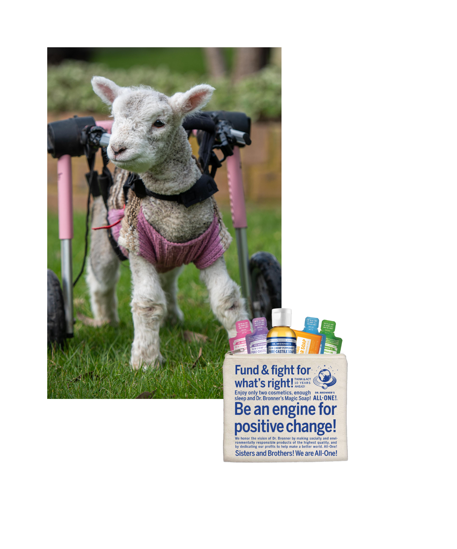 GLOBAL MISSION,  LOCAL IMPACT