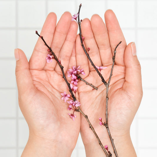 Cherry Blossom - Pure-Castile Magic Bar Soap