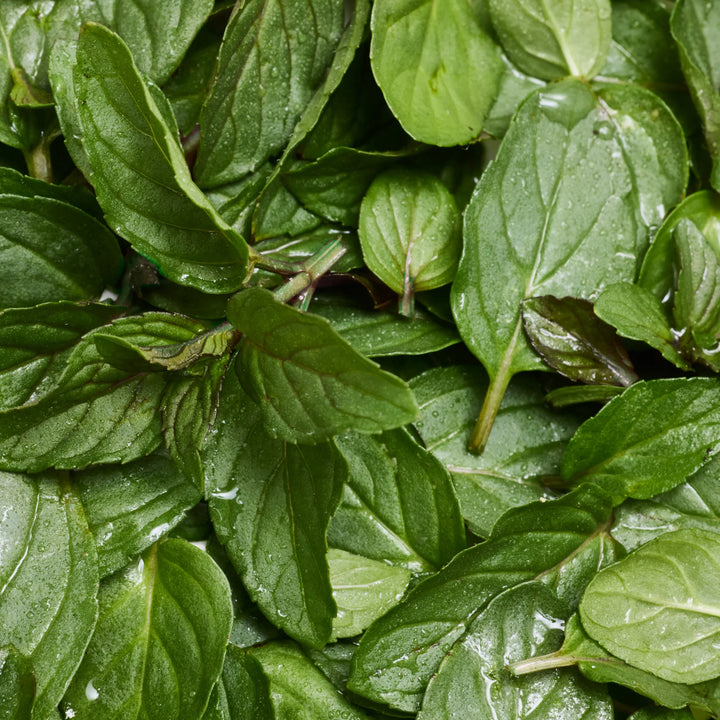 Made with Organic Ingredients  