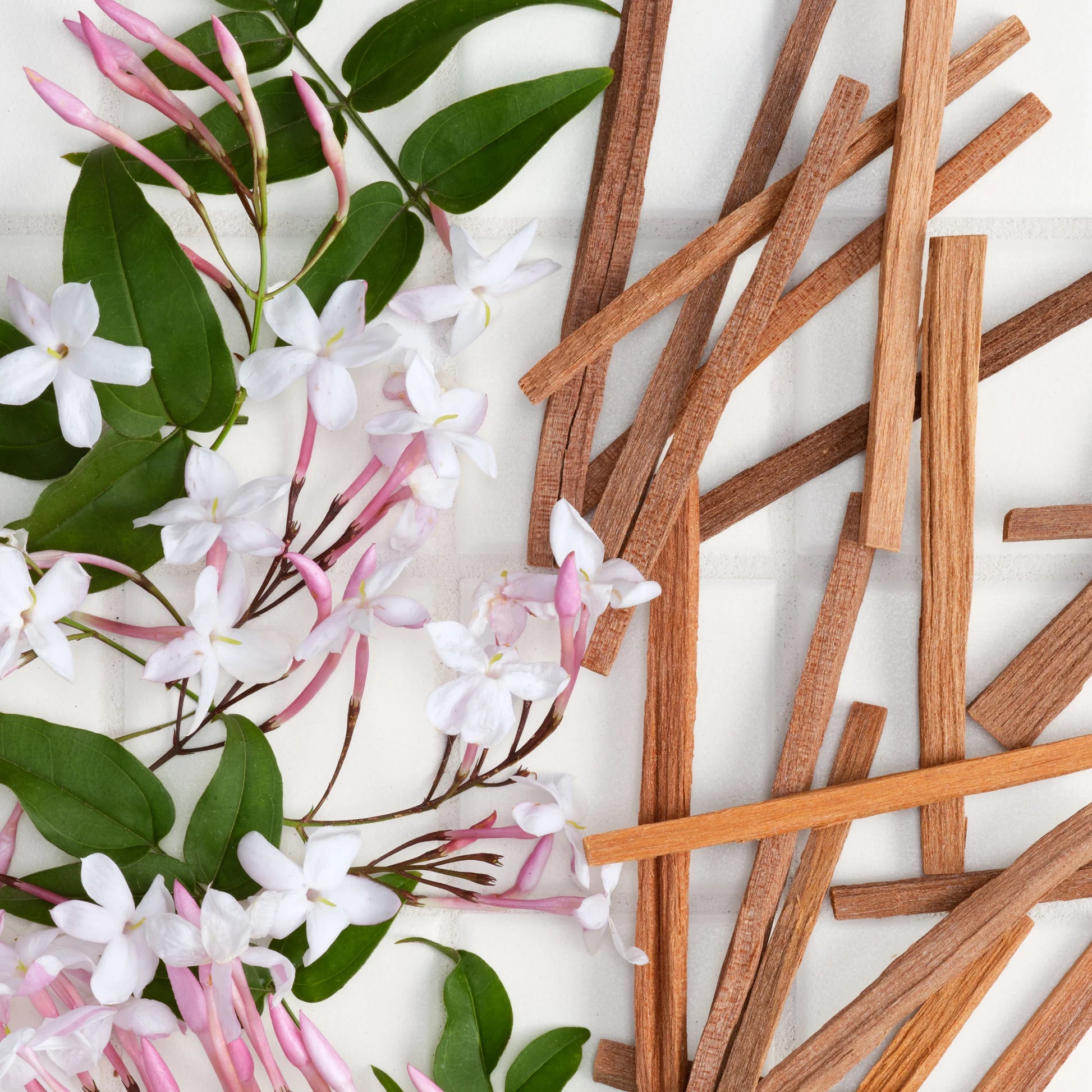 PURE-CASTILE LIQUID SOAP Sandalwood Jasmine [59ml, 237ml, 473ml, 946ml, 3.78l]